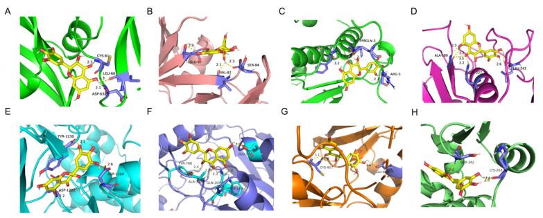 https://cdn.ncbi.nlm.nih.gov/pmc/blobs/2091/10815645/4974df802e07/foods-13-00344-g002.jpg