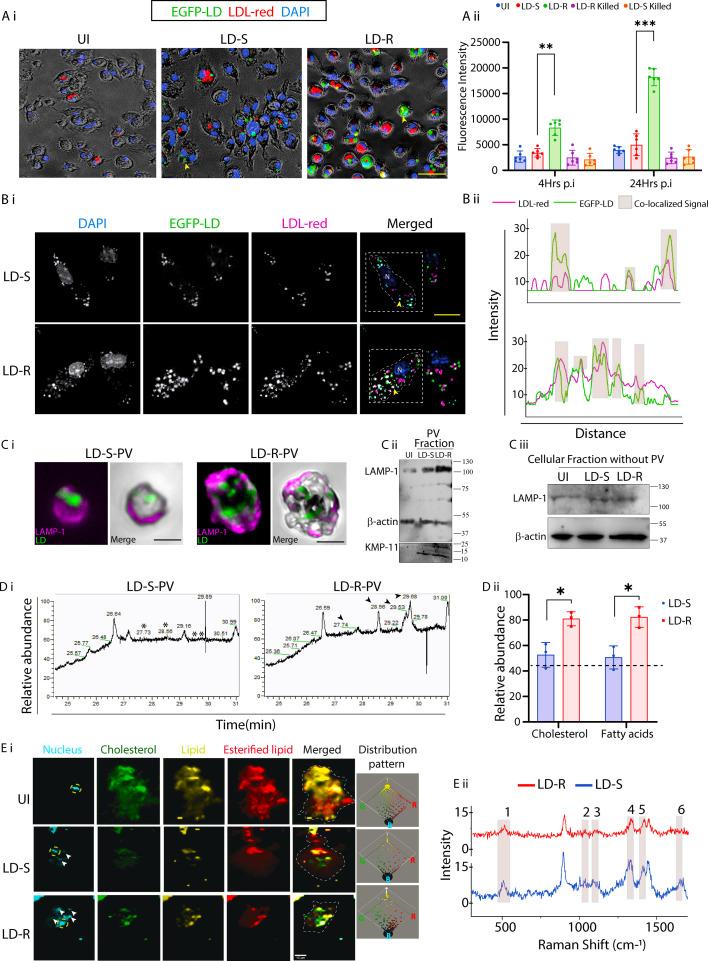 https://cdn.ncbi.nlm.nih.gov/pmc/blobs/2092/12113272/1ffd6cea441f/elife-102857-fig3.jpg