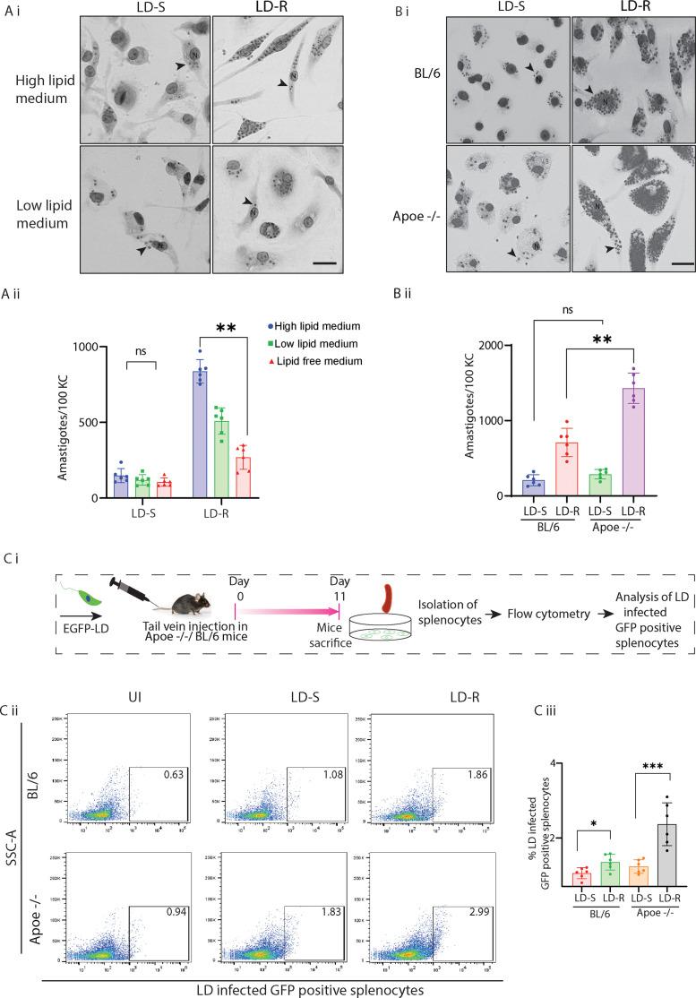 https://cdn.ncbi.nlm.nih.gov/pmc/blobs/2092/12113272/21dc665bdb3b/elife-102857-fig2.jpg