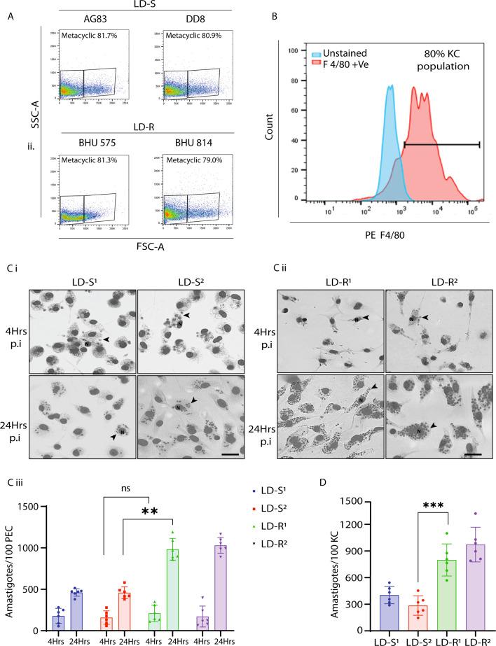 https://cdn.ncbi.nlm.nih.gov/pmc/blobs/2092/12113272/2e305989fcd5/elife-102857-fig1-figsupp1.jpg
