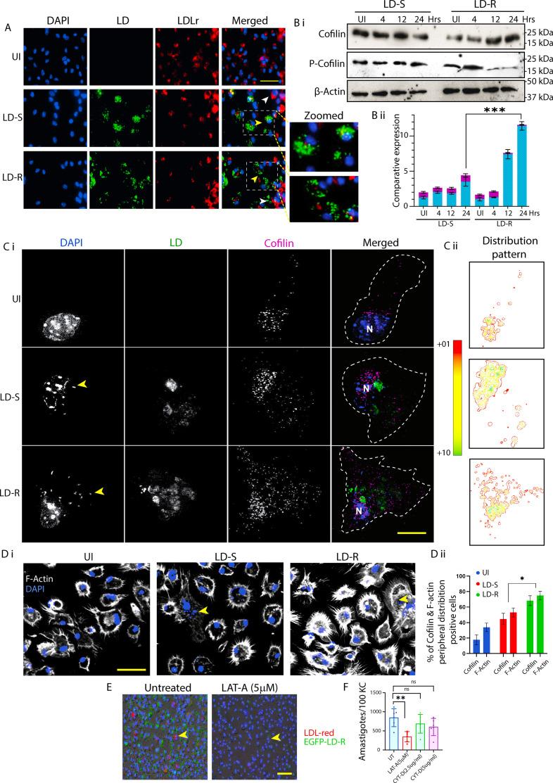 https://cdn.ncbi.nlm.nih.gov/pmc/blobs/2092/12113272/3694e606ca4e/elife-102857-fig4.jpg