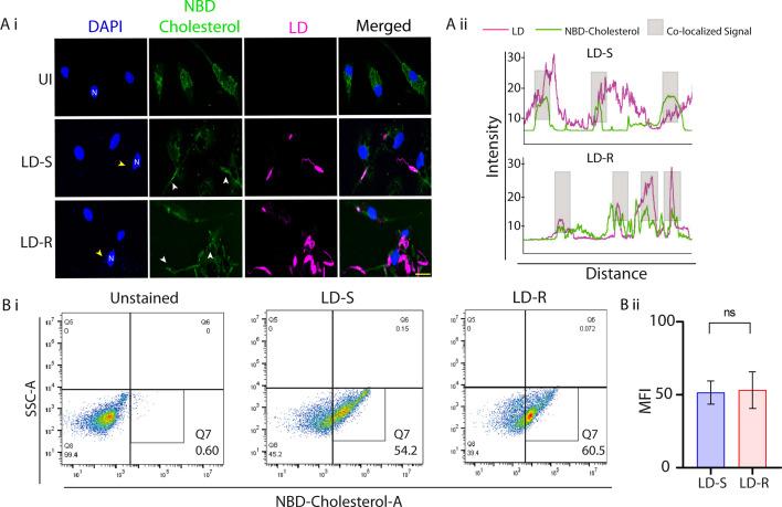 https://cdn.ncbi.nlm.nih.gov/pmc/blobs/2092/12113272/8d40ee1402ea/elife-102857-fig3-figsupp1.jpg