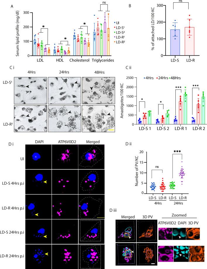 https://cdn.ncbi.nlm.nih.gov/pmc/blobs/2092/12113272/a1925aa55c4d/elife-102857-fig1.jpg
