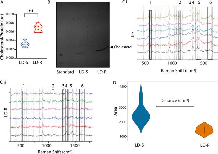 https://cdn.ncbi.nlm.nih.gov/pmc/blobs/2092/12113272/d84ad6da4f3e/elife-102857-fig3-figsupp2.jpg