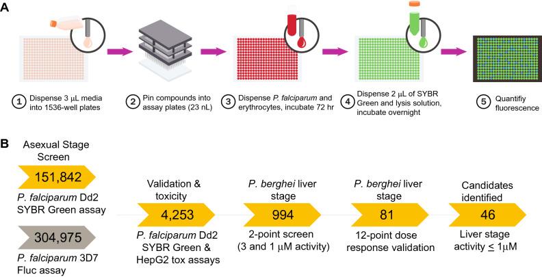 https://cdn.ncbi.nlm.nih.gov/pmc/blobs/2092/7822874/258311ed9f26/41598_2021_81486_Fig1_HTML.jpg