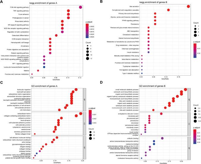 https://cdn.ncbi.nlm.nih.gov/pmc/blobs/2094/11742861/2fca79818086/10238_2024_1543_Fig3_HTML.jpg