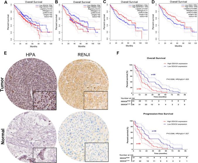 https://cdn.ncbi.nlm.nih.gov/pmc/blobs/2094/11742861/3829d5703655/10238_2024_1543_Fig8_HTML.jpg