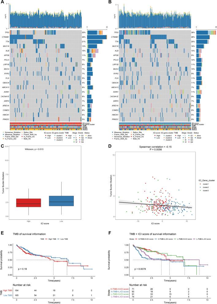 https://cdn.ncbi.nlm.nih.gov/pmc/blobs/2094/11742861/6306b56377ca/10238_2024_1543_Fig6_HTML.jpg
