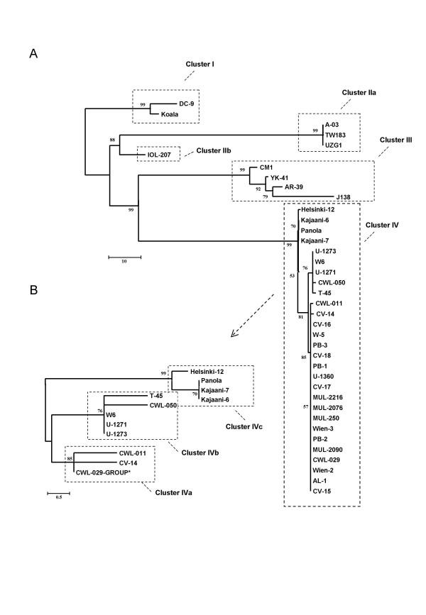 https://cdn.ncbi.nlm.nih.gov/pmc/blobs/2096/2092436/59ce19dc3ef6/1471-2164-8-355-4.jpg