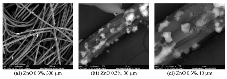 https://cdn.ncbi.nlm.nih.gov/pmc/blobs/2096/8200248/b5a95d4dd80f/materials-14-03084-g001a.jpg