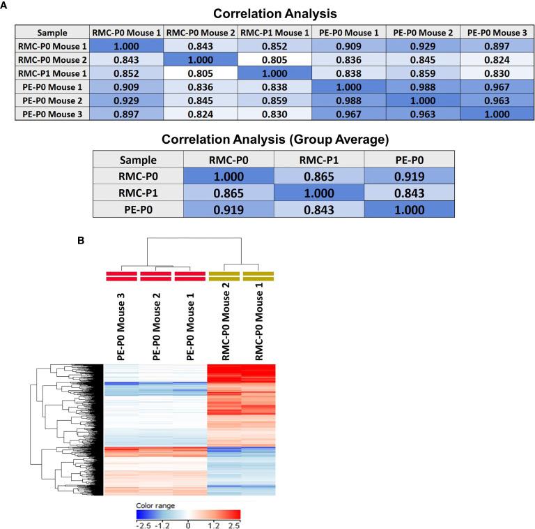 https://cdn.ncbi.nlm.nih.gov/pmc/blobs/2099/8032976/8c4a458af9b5/fonc-11-648097-g003.jpg