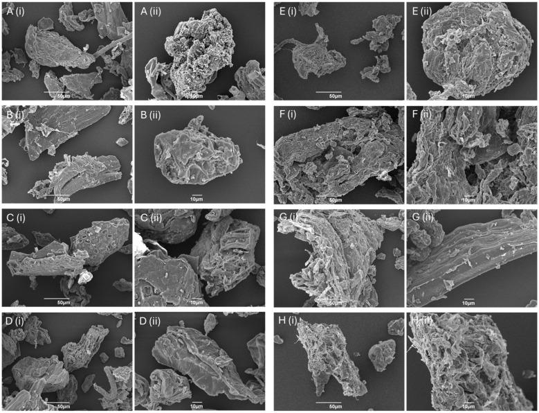 https://cdn.ncbi.nlm.nih.gov/pmc/blobs/209a/11643517/534214b7e0a9/molecules-29-05665-g002.jpg