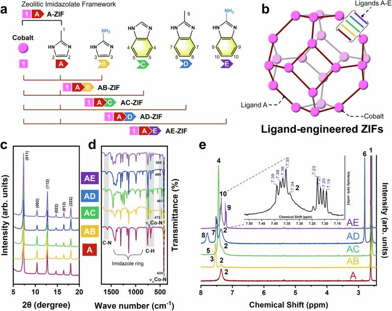 https://cdn.ncbi.nlm.nih.gov/pmc/blobs/209b/11526130/58ef89acede7/41467_2024_53385_Fig1_HTML.jpg