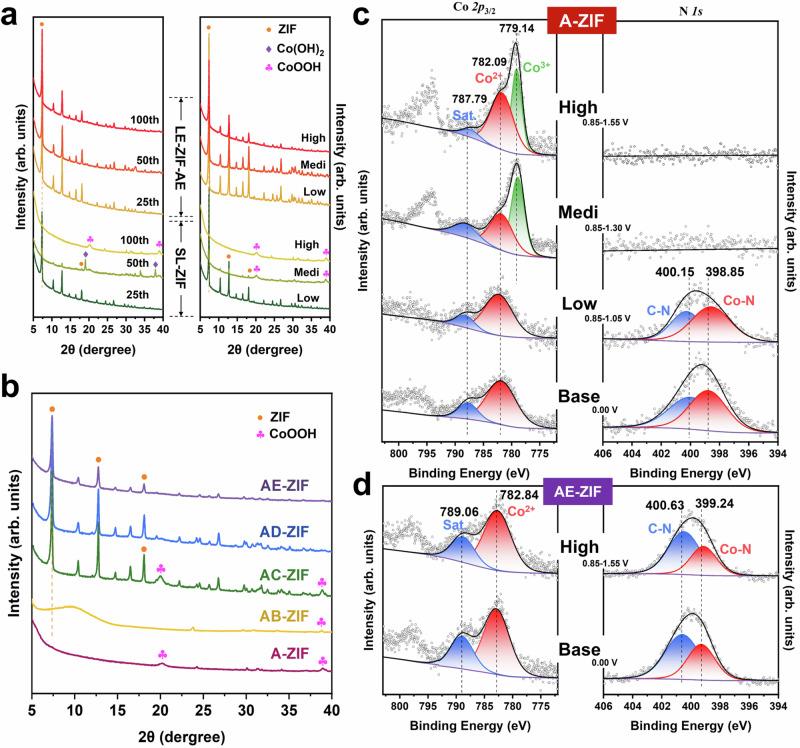 https://cdn.ncbi.nlm.nih.gov/pmc/blobs/209b/11526130/bdcd61fd868e/41467_2024_53385_Fig3_HTML.jpg
