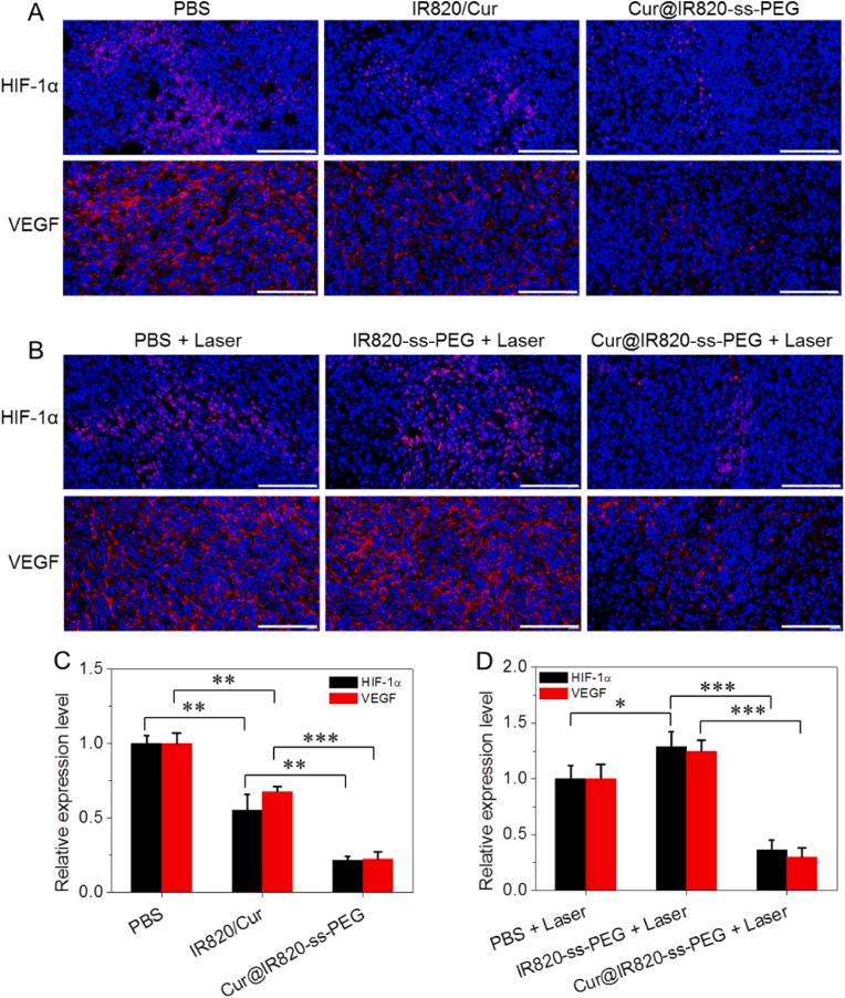 https://cdn.ncbi.nlm.nih.gov/pmc/blobs/209d/9840183/4f6a8c352ee3/gr6.jpg