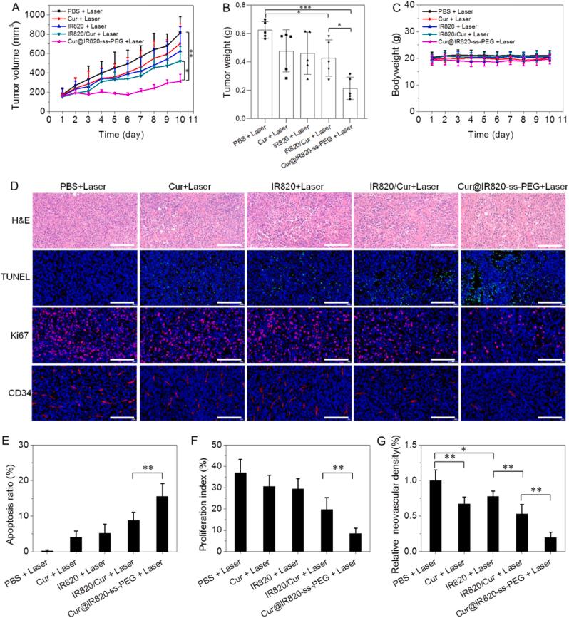 https://cdn.ncbi.nlm.nih.gov/pmc/blobs/209d/9840183/b5333949b9e1/gr7.jpg