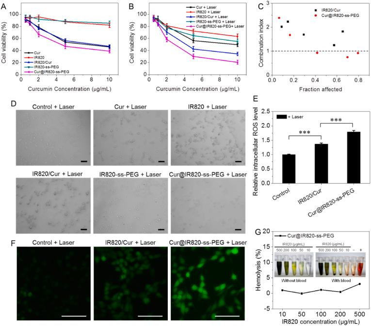 https://cdn.ncbi.nlm.nih.gov/pmc/blobs/209d/9840183/c2ce01050869/gr4.jpg
