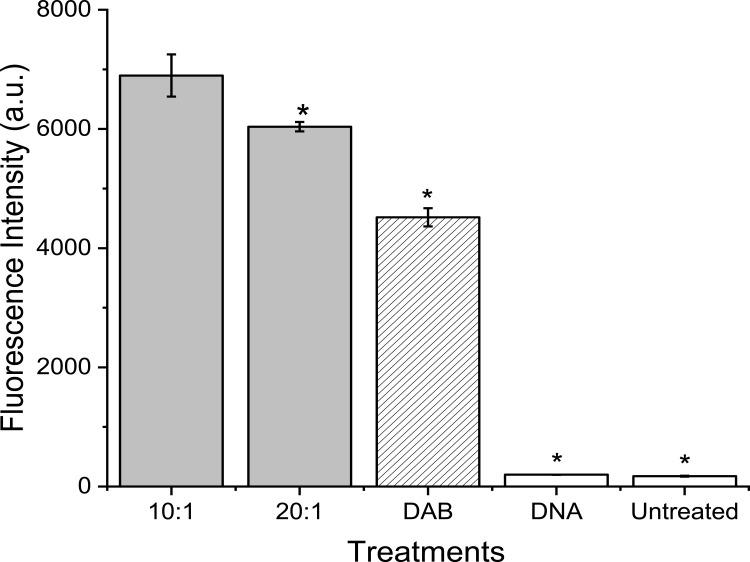 https://cdn.ncbi.nlm.nih.gov/pmc/blobs/20a0/8968073/faf85381d211/IJN-17-1409-g0006.jpg