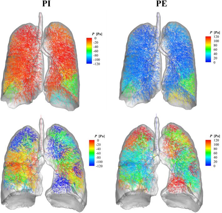 https://cdn.ncbi.nlm.nih.gov/pmc/blobs/20a2/10771932/d5013527ce3f/PHY2-12-e15909-g003.jpg