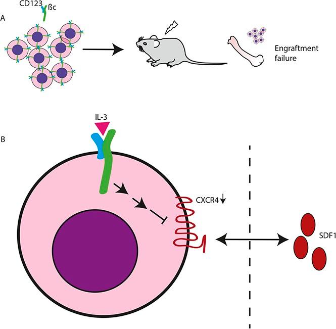 https://cdn.ncbi.nlm.nih.gov/pmc/blobs/20a2/5728309/4f3499460fa8/advances002931absf1.jpg