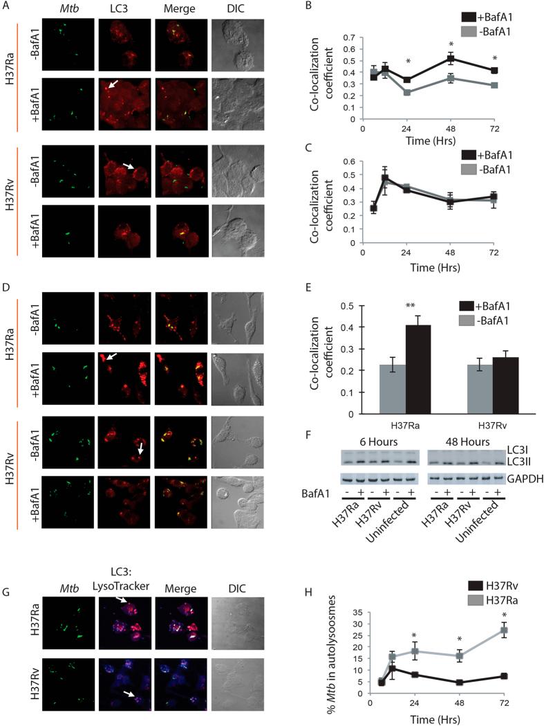https://cdn.ncbi.nlm.nih.gov/pmc/blobs/20a4/4635374/a44b945b3865/srep16320-f1.jpg