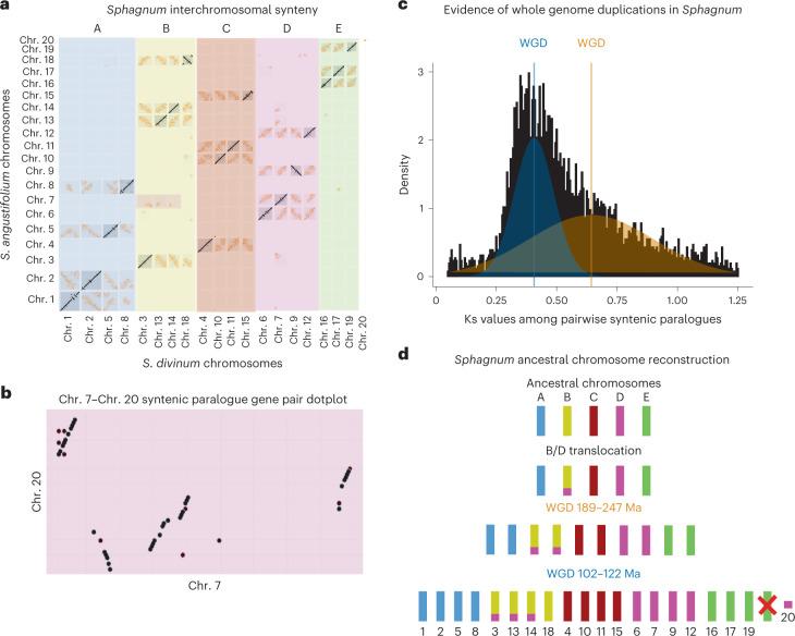 https://cdn.ncbi.nlm.nih.gov/pmc/blobs/20a6/9946827/082d1d93b3d6/41477_2022_1333_Fig3_HTML.jpg