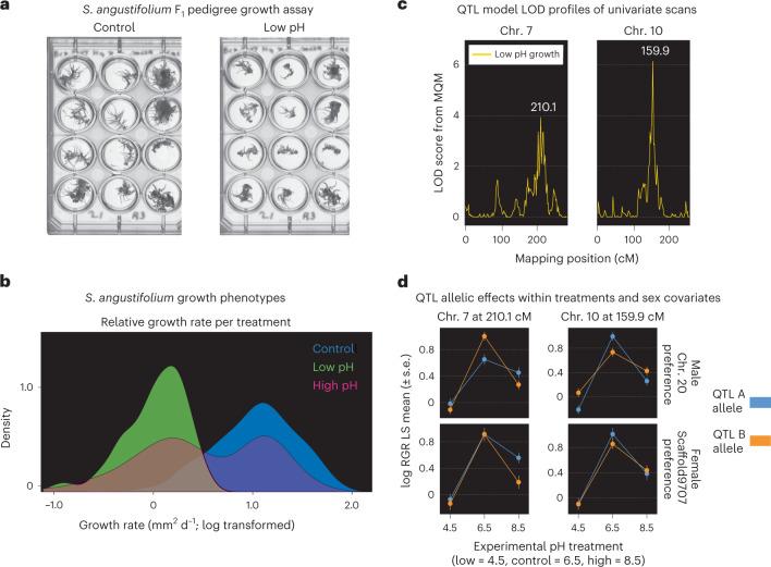 https://cdn.ncbi.nlm.nih.gov/pmc/blobs/20a6/9946827/6c3500a75d24/41477_2022_1333_Fig5_HTML.jpg