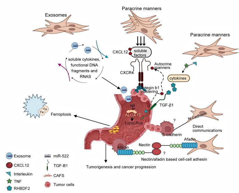 https://cdn.ncbi.nlm.nih.gov/pmc/blobs/20a8/12140985/d11b12a83dfd/fonc-15-1576696-g015.jpg