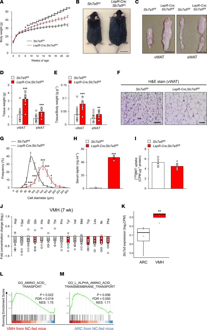 https://cdn.ncbi.nlm.nih.gov/pmc/blobs/20a9/10132163/0ca1efa313ce/jciinsight-8-154925-g064.jpg