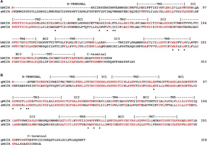 https://cdn.ncbi.nlm.nih.gov/pmc/blobs/20a9/4923161/09ae17838bab/fendo-07-00079-g005.jpg