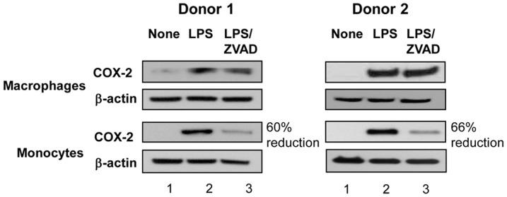 https://cdn.ncbi.nlm.nih.gov/pmc/blobs/20ab/4037220/feab8cf28ad0/pone.0098517.g002.jpg