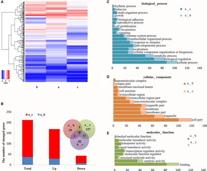 https://cdn.ncbi.nlm.nih.gov/pmc/blobs/20ab/8409286/e9a1e3063550/FEB4-11-2453-g005.jpg