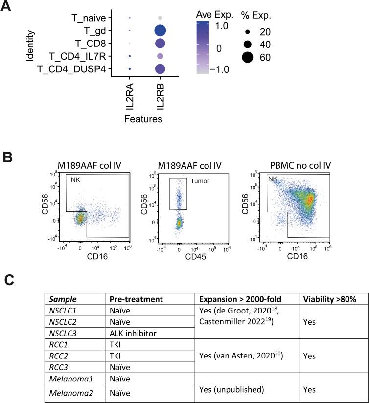 https://cdn.ncbi.nlm.nih.gov/pmc/blobs/20ae/12405002/4326abd462e4/LSA-2025-03249_FigS2.jpg