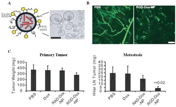 https://cdn.ncbi.nlm.nih.gov/pmc/blobs/20ae/3263514/04a59e49fadd/thnov02p0003g06.jpg