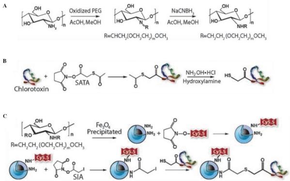 https://cdn.ncbi.nlm.nih.gov/pmc/blobs/20ae/3263514/11fa92706847/thnov02p0003g19.jpg