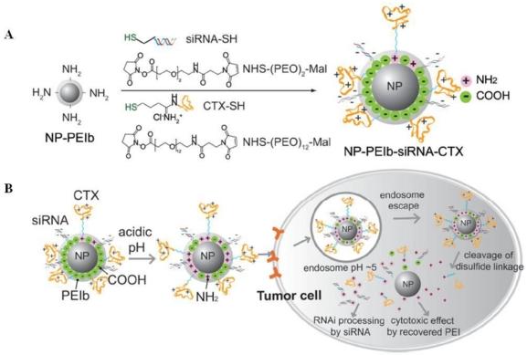 https://cdn.ncbi.nlm.nih.gov/pmc/blobs/20ae/3263514/1a2b9b82acfe/thnov02p0003g18.jpg