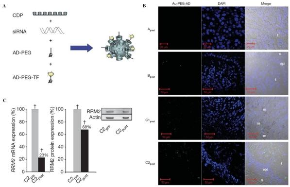 https://cdn.ncbi.nlm.nih.gov/pmc/blobs/20ae/3263514/292fea6f7cbc/thnov02p0003g11.jpg