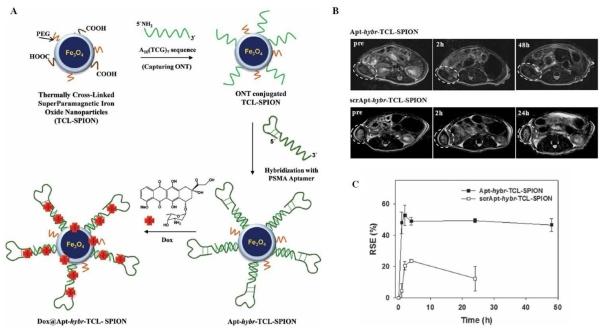 https://cdn.ncbi.nlm.nih.gov/pmc/blobs/20ae/3263514/2aa49075a241/thnov02p0003g10.jpg