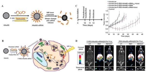 https://cdn.ncbi.nlm.nih.gov/pmc/blobs/20ae/3263514/55b95a3c83e8/thnov02p0003g09.jpg
