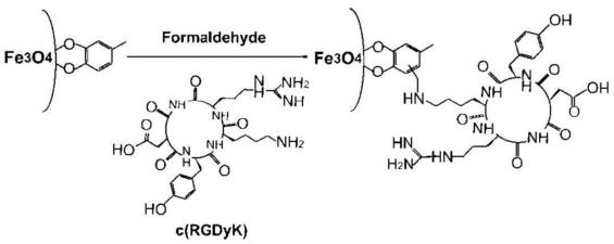 https://cdn.ncbi.nlm.nih.gov/pmc/blobs/20ae/3263514/657f5de28301/thnov02p0003g17.jpg