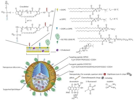 https://cdn.ncbi.nlm.nih.gov/pmc/blobs/20ae/3263514/a6420c26b8df/thnov02p0003g07.jpg