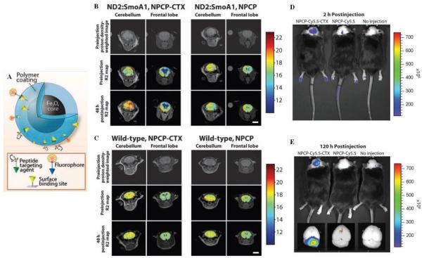 https://cdn.ncbi.nlm.nih.gov/pmc/blobs/20ae/3263514/c266b4bc543f/thnov02p0003g05.jpg