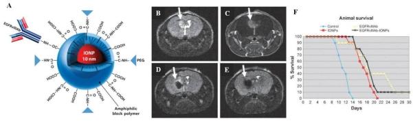https://cdn.ncbi.nlm.nih.gov/pmc/blobs/20ae/3263514/f5838919b1f8/thnov02p0003g02.jpg