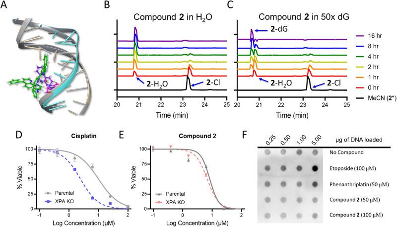 https://cdn.ncbi.nlm.nih.gov/pmc/blobs/20b0/10170627/1575c0952b25/d2cb00247g-f3.jpg