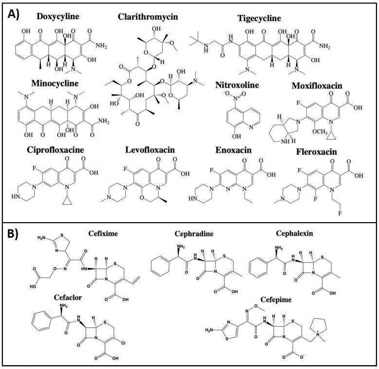https://cdn.ncbi.nlm.nih.gov/pmc/blobs/20b2/8269327/09001b71d758/cancers-13-03193-g002.jpg