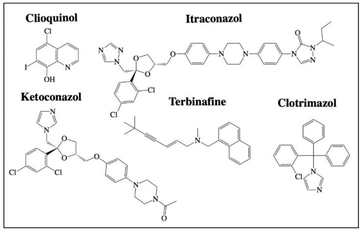 https://cdn.ncbi.nlm.nih.gov/pmc/blobs/20b2/8269327/f51c563e3c86/cancers-13-03193-g004.jpg