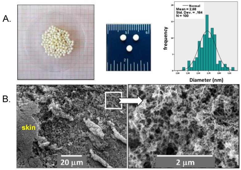 https://cdn.ncbi.nlm.nih.gov/pmc/blobs/20b3/8912528/0098b73388a7/polymers-14-00969-g017.jpg