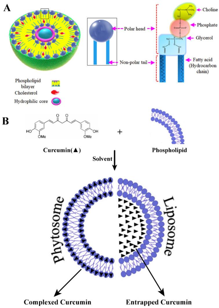 https://cdn.ncbi.nlm.nih.gov/pmc/blobs/20b4/7587200/df8e34a6356c/molecules-25-04613-g003.jpg
