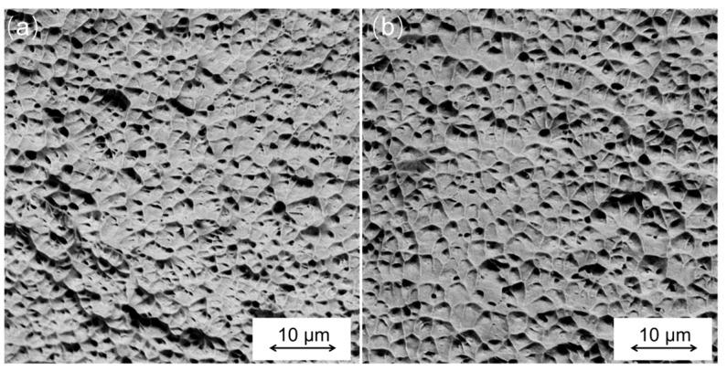 https://cdn.ncbi.nlm.nih.gov/pmc/blobs/20b7/10342504/55524a9bb3d8/materials-16-04561-g008.jpg