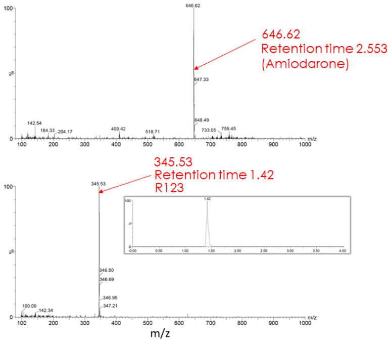 https://cdn.ncbi.nlm.nih.gov/pmc/blobs/20b7/8745654/cc8efae78fe2/ijms-23-00482-g008.jpg